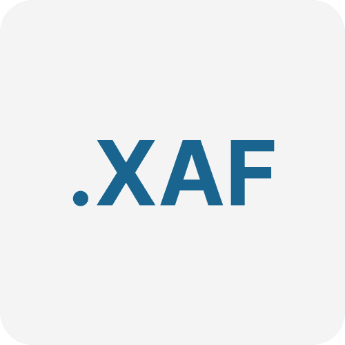 Auditfile (.XAF)